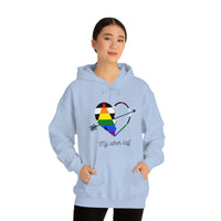 Thumbnail for Straight Ally Flag LGBTQ Affirmation Hoodie Unisex Size - The Other Half Printify