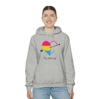 Thumbnail for Pansexual Flag LGBTQ Affirmation Hoodie Unisex Size - The Other Half Printify