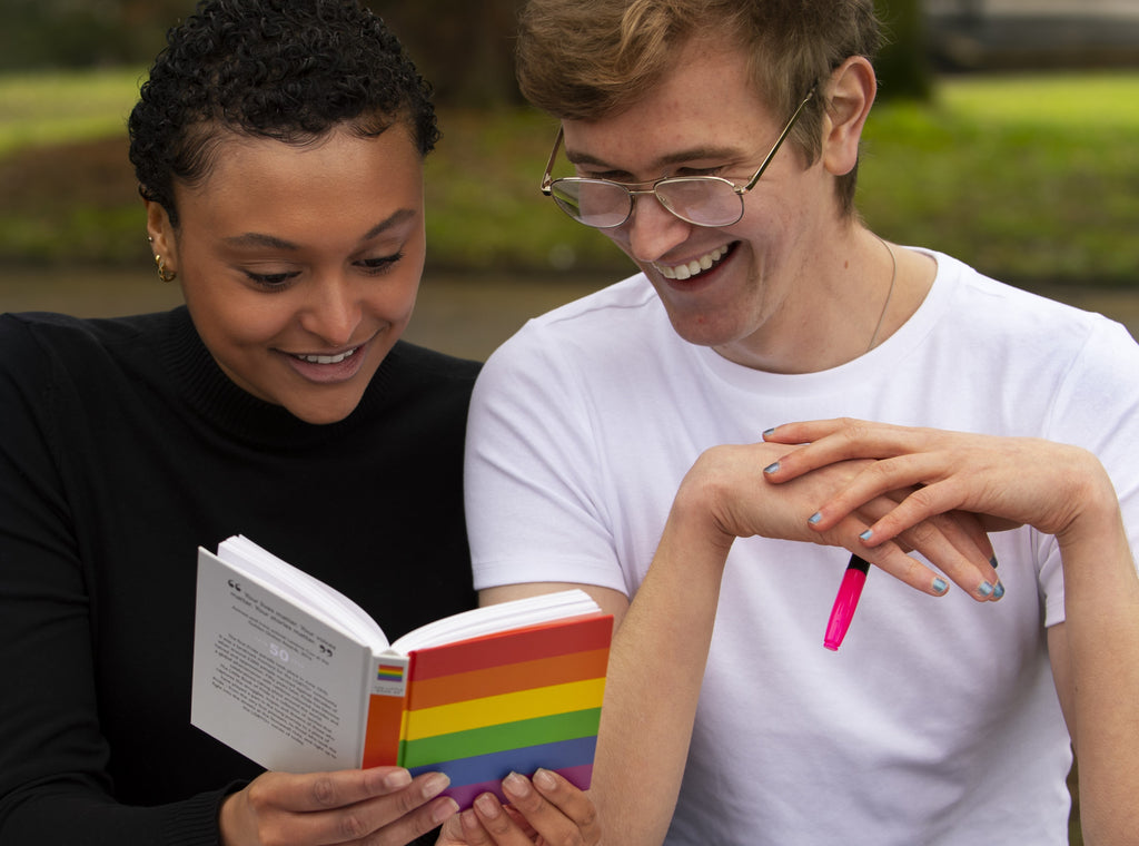 Queering the Curriculum: Charting the Course for Inclusive Learning in Schools