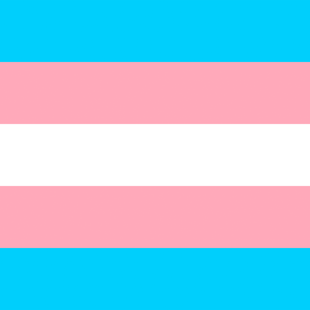 Transgender Flag Gift Card SHAVA