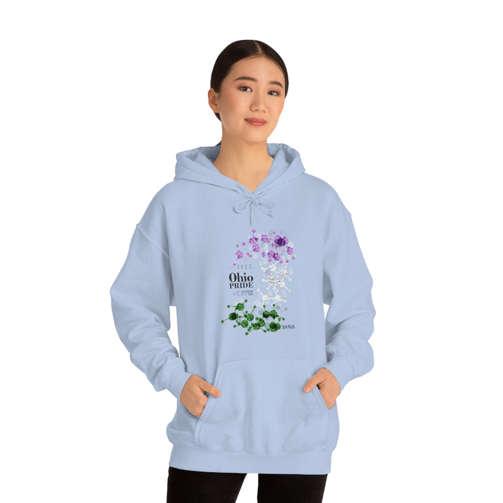 SHAVA CO Genderqueer Flag 2023 Pride, Ohio Unisex Heavy Blend™ Hooded Sweatshirt - My Rainbow Is In My DNA Printify