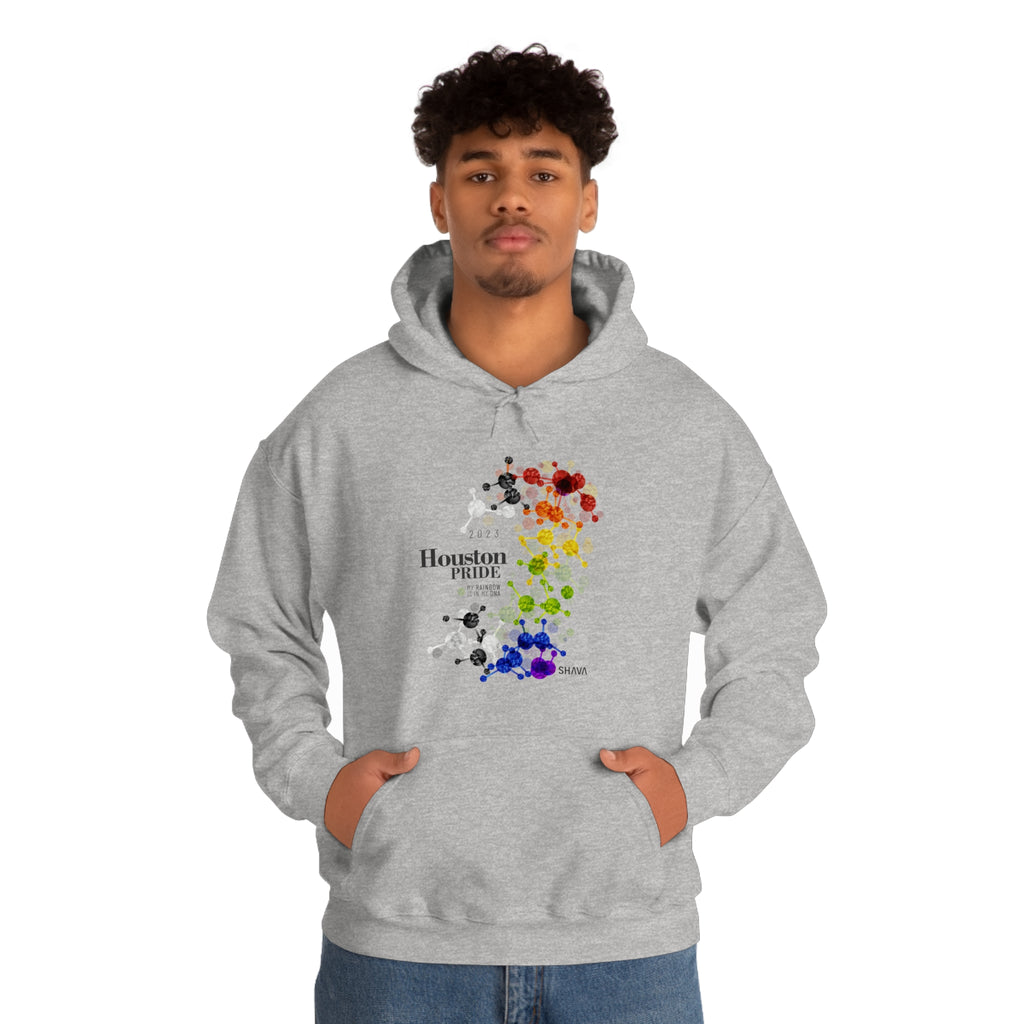 SHAVA CO Straight Ally Flag 2023 Pride, Houston Unisex Heavy Blend™ Hooded Sweatshirt - My Rainbow Is In My DNA Printify