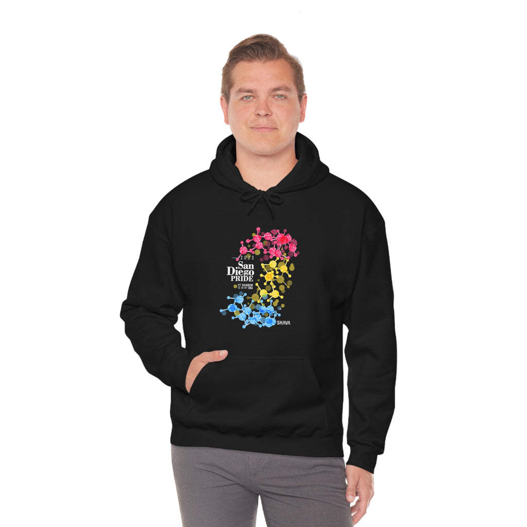 SHAVA CO Pansexual Flag 2023 Pride, San Diego Unisex Heavy Blend™ Hooded Sweatshirt - My Rainbow Is In My DNA Printify