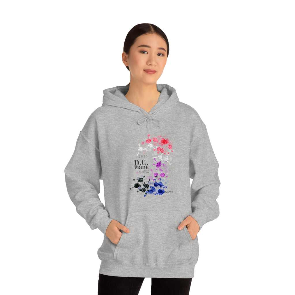 SHAVA CO Genderfluid Flag 2023 Pride, Washington D.C Unisex Heavy Blend™ Hooded Sweatshirt - My Rainbow Is In My DNA Printify