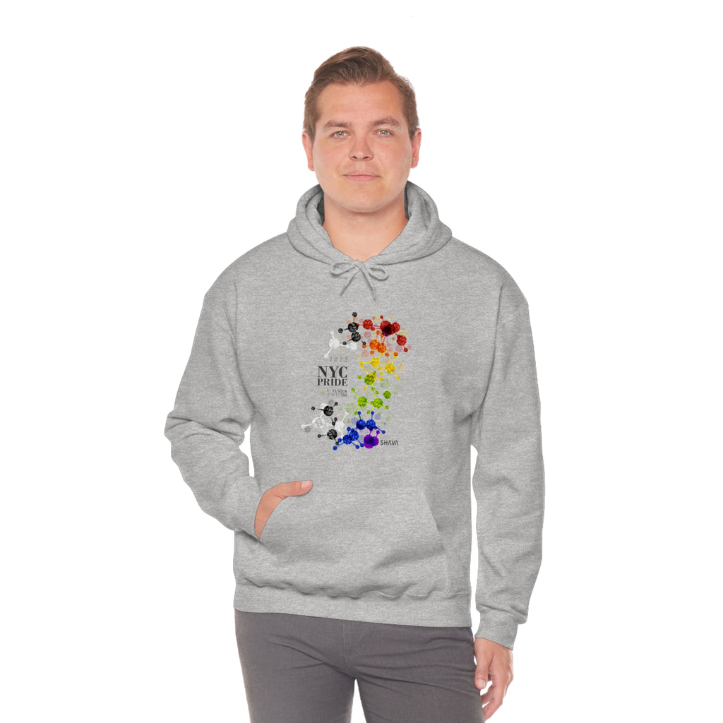 SHAVA CO Straight Ally Flag 2023 Pride, New York City Unisex Heavy Blend™ Hooded Sweatshirt - My Rainbow Is In My DNA SHAVA CO