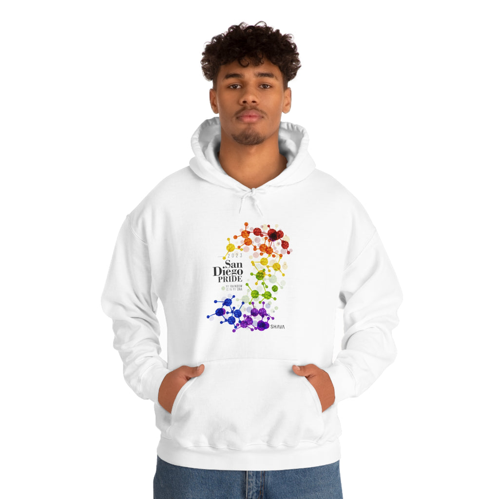 SHAVA CO Rainbow Flag 2023 Pride, San Diego Unisex Heavy Blend™ Hooded Sweatshirt - My Rainbow Is In My DNA Printify