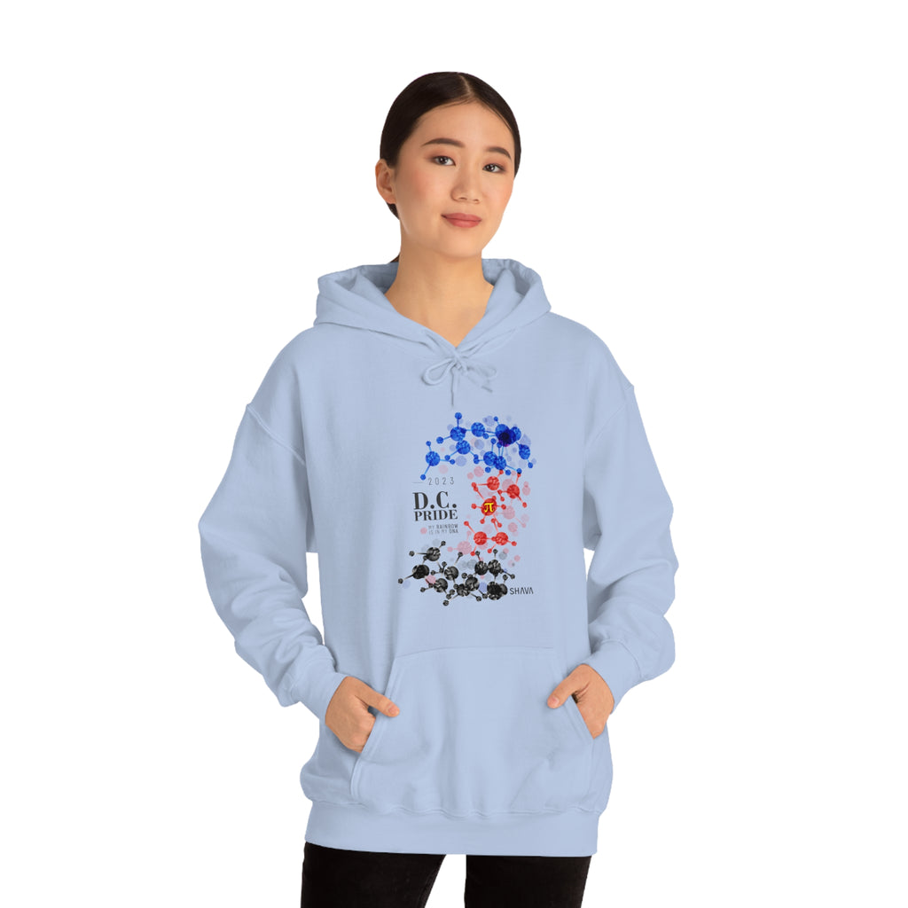 SHAVA CO Polyamory Flag 2023 Pride, Washington D.C Unisex Heavy Blend™ Hooded Sweatshirt - My Rainbow Is In My DNA Printify