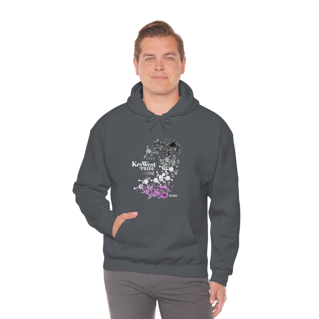 SHAVA CO Asexual Flag 2023 Pride, Key West Unisex Heavy Blend™ Hooded Sweatshirt - My Rainbow Is In My DNA Printify