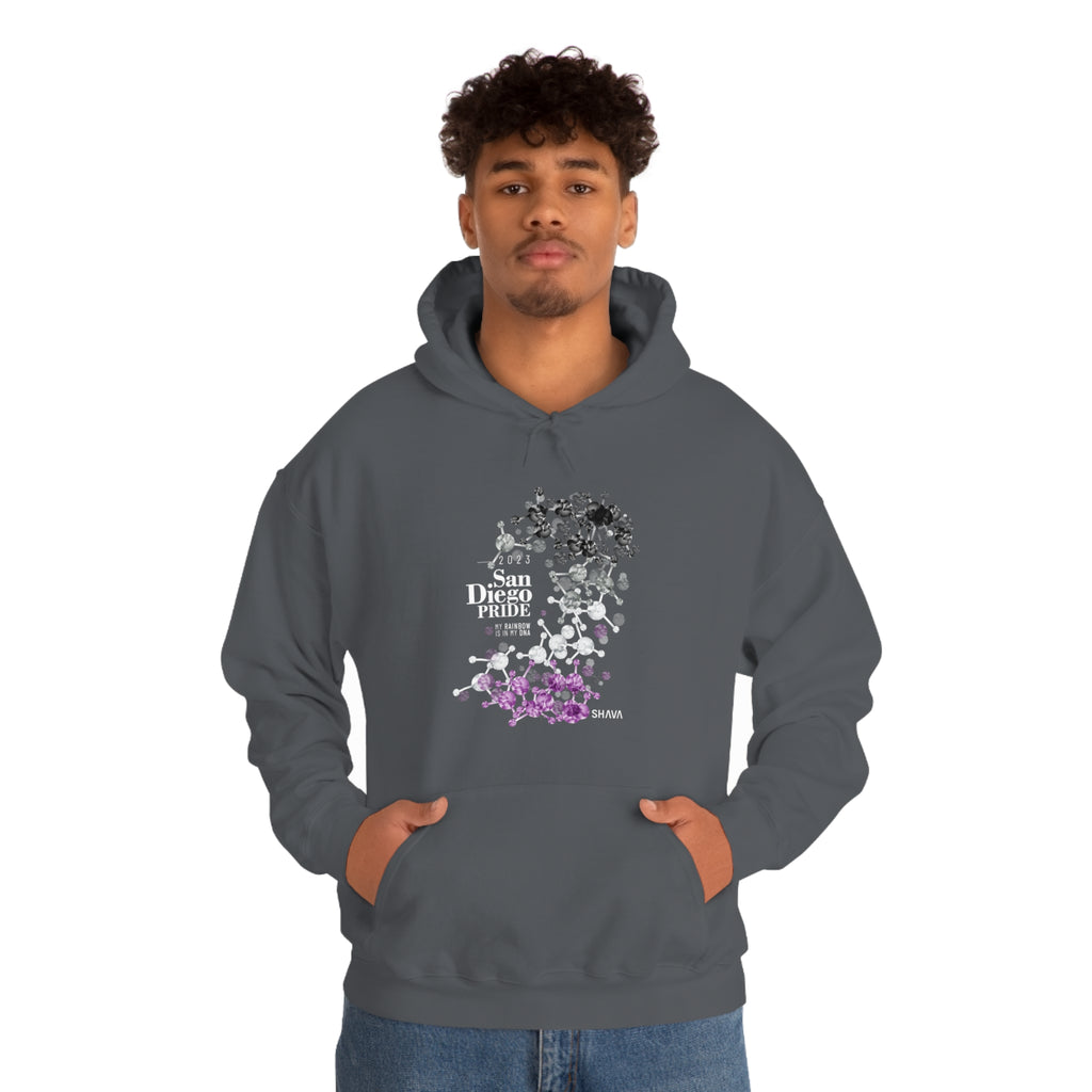 SHAVA CO Asexual Flag 2023 Pride, San Diego Unisex Heavy Blend™ Hooded Sweatshirt - My Rainbow Is In My DNA Printify