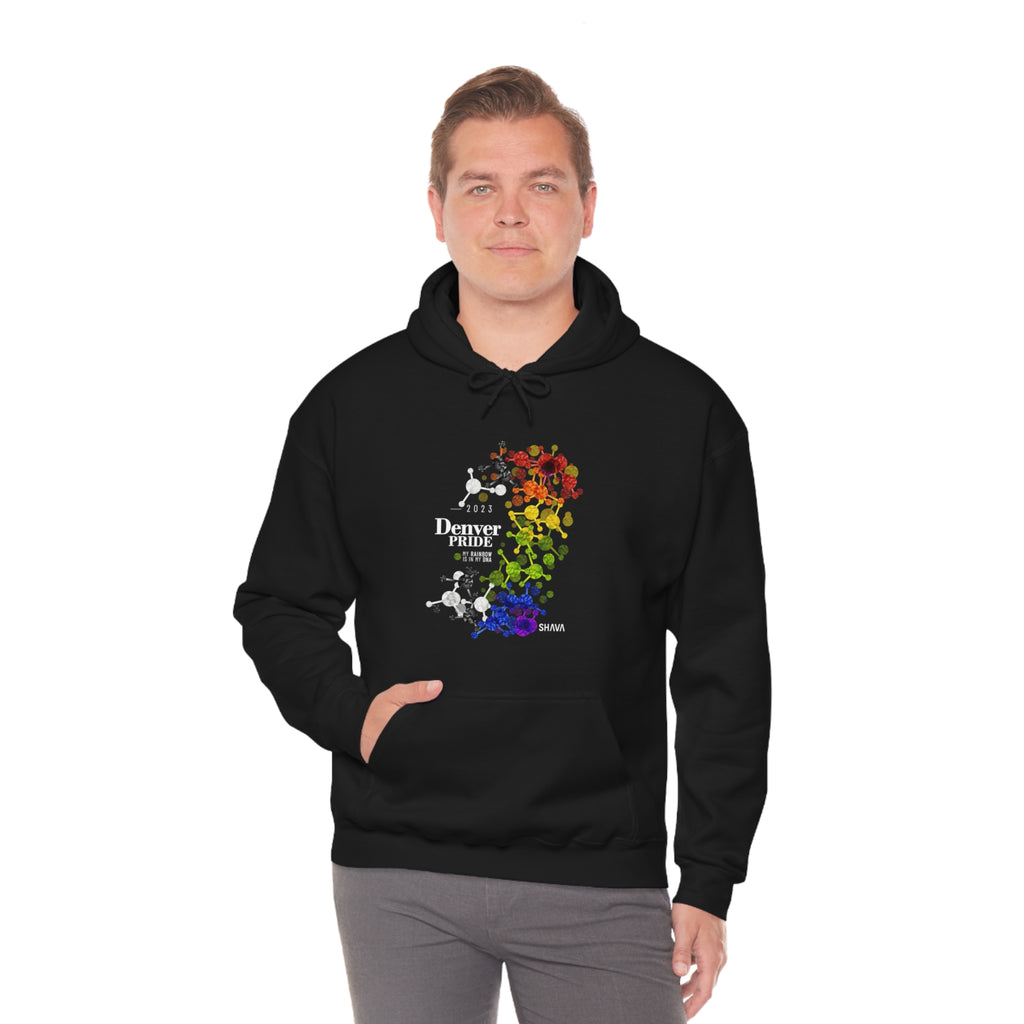 SHAVA CO Straight Ally Flag 2023 Pride, Denver Unisex Heavy Blend™ Hooded Sweatshirt - My Rainbow Is In My DNA Printify