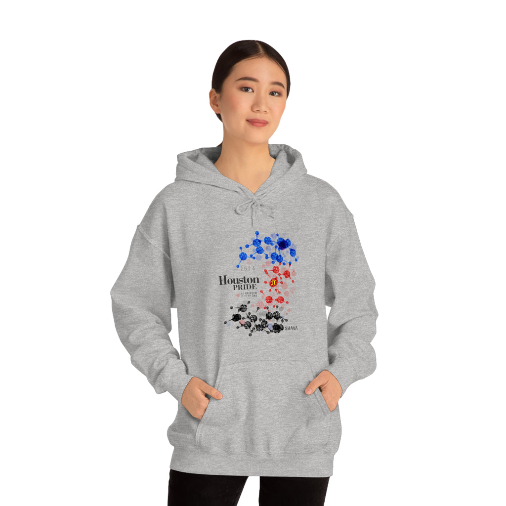 SHAVA CO Polyamory Flag 2023 Pride, Houston Unisex Heavy Blend™ Hooded Sweatshirt - My Rainbow Is In My DNA Printify