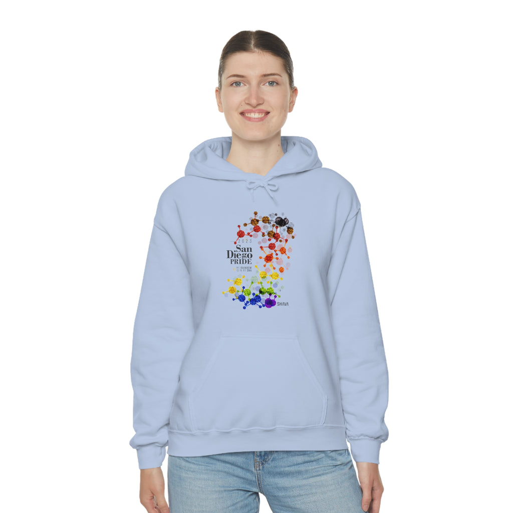 SHAVA CO Philadelphia Flag 2023 Pride, San Diego Unisex Heavy Blend™ Hooded Sweatshirt - My Rainbow Is In My DNA Printify