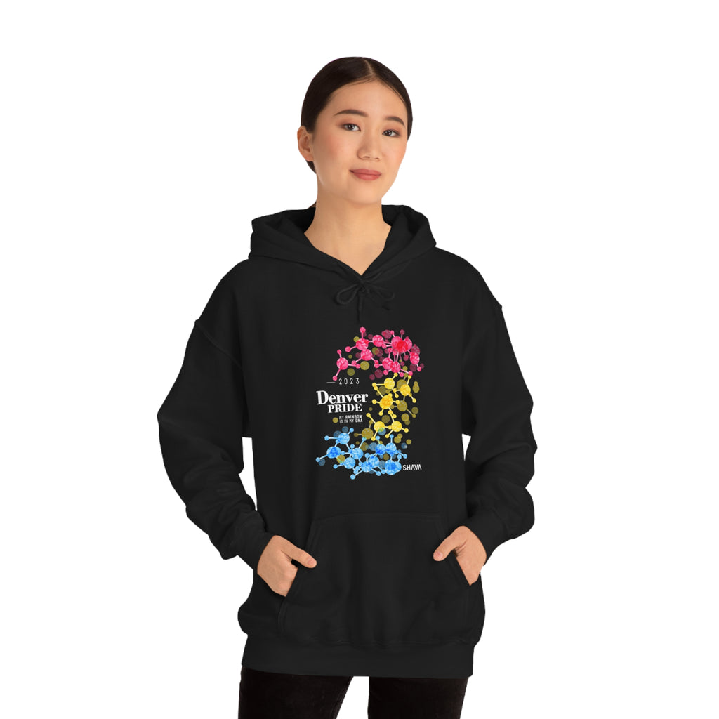 SHAVA CO Pansexual Flag 2023 Pride, Denver Unisex Heavy Blend™ Hooded Sweatshirt - My Rainbow Is In My DNA Printify