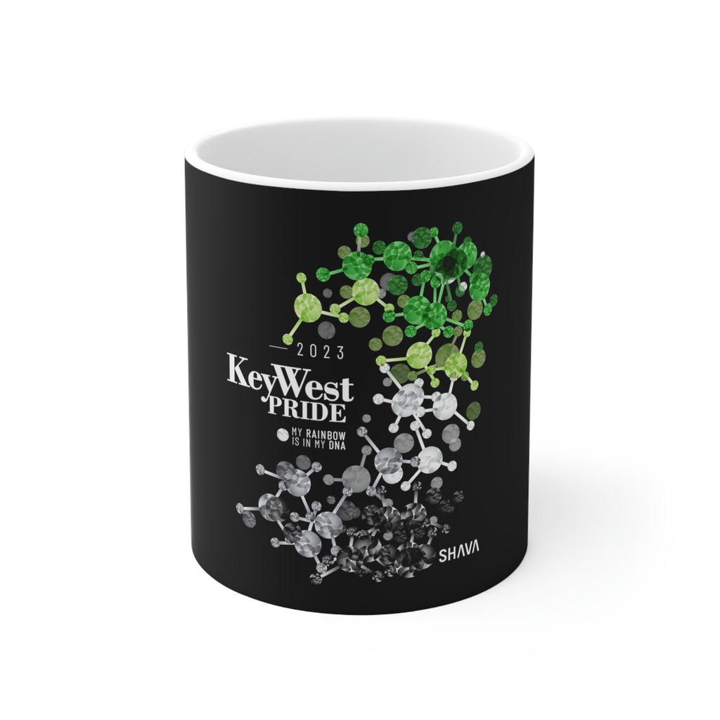 Aromantic Flag Ceramic Mug Key West Pride - Rainbow Is In My DNA SHAVA CO