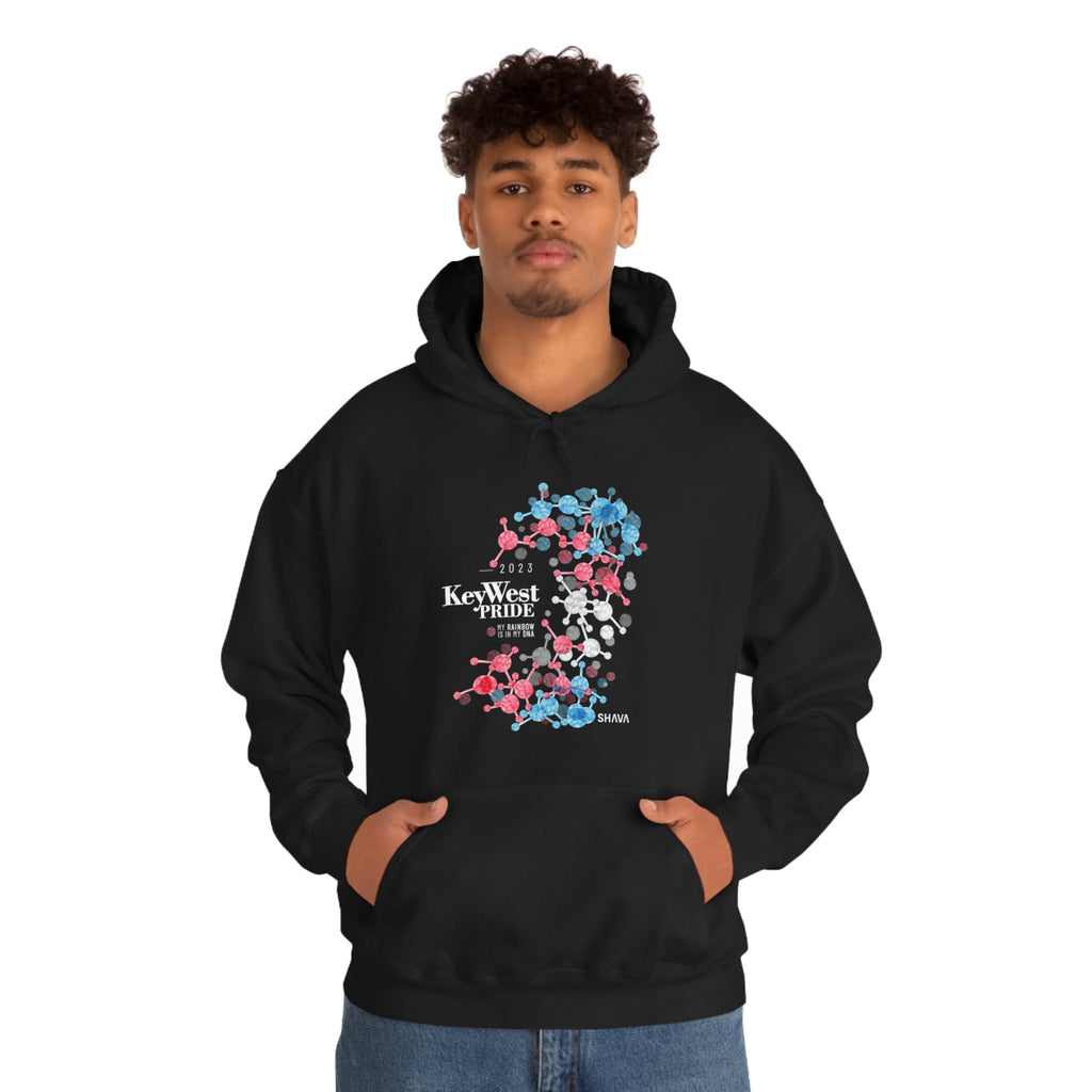 SHAVA CO Transgender Flag 2023 Pride, Key West Unisex Heavy Blend™ Hooded Sweatshirt - My Rainbow Is In My DNA Printify