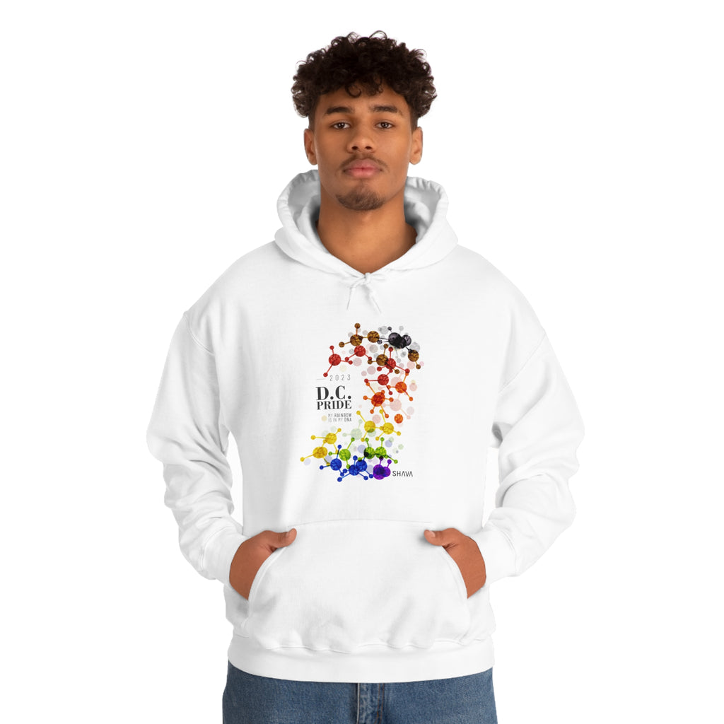 SHAVA CO Philadelphia Flag 2023 Pride, Washington D.C Unisex Heavy Blend™ Hooded Sweatshirt - My Rainbow Is In My DNA Printify