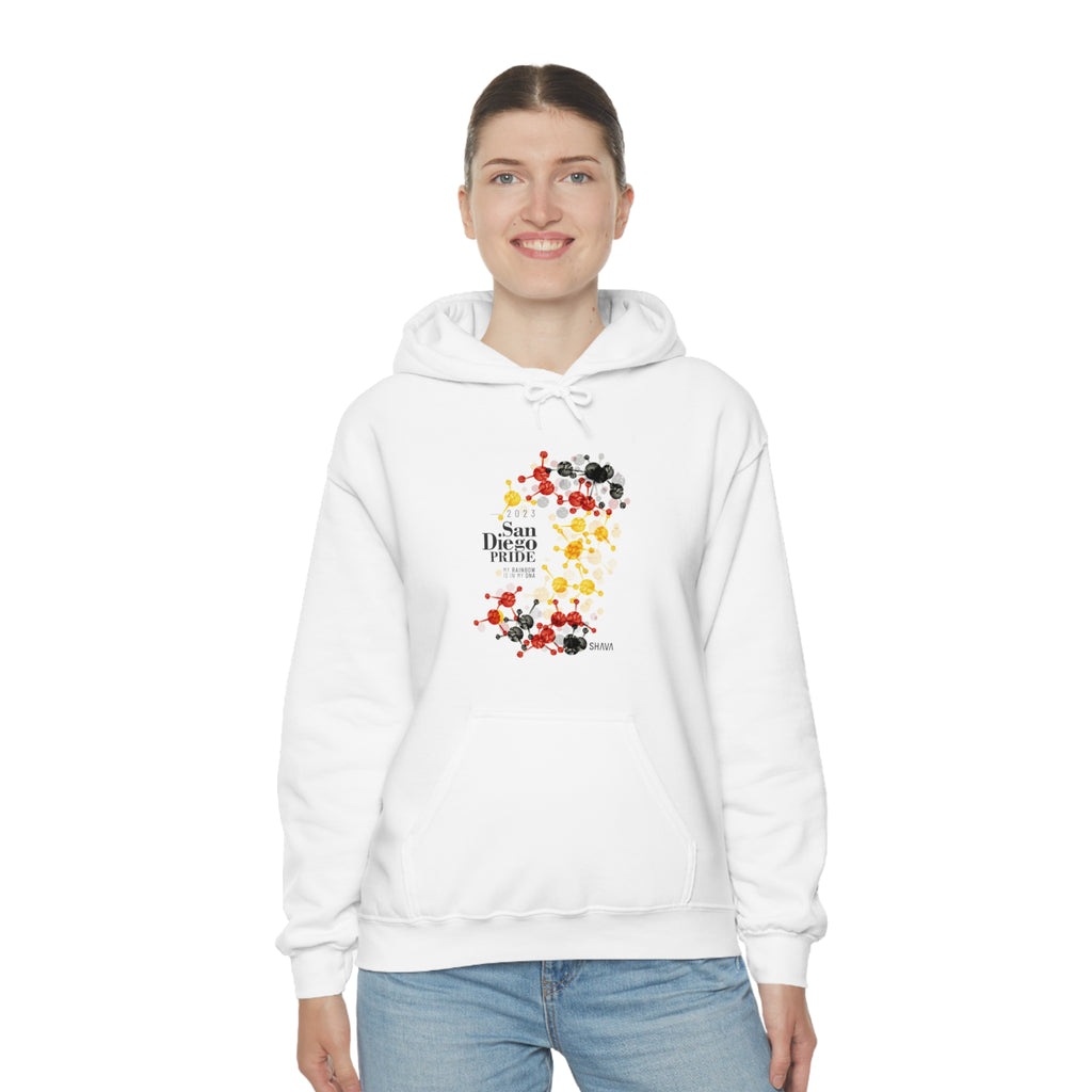 SHAVA CO Rubber Flag 2023 Pride, San Diego Unisex Heavy Blend™ Hooded Sweatshirt - My Rainbow Is In My DNA Printify
