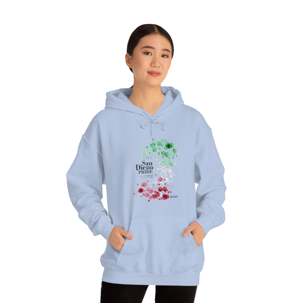 SHAVA CO Abrosexual Flag 2023 Pride, San Diego Unisex Heavy Blend™ Hooded Sweatshirt - My Rainbow Is In My DNA Printify