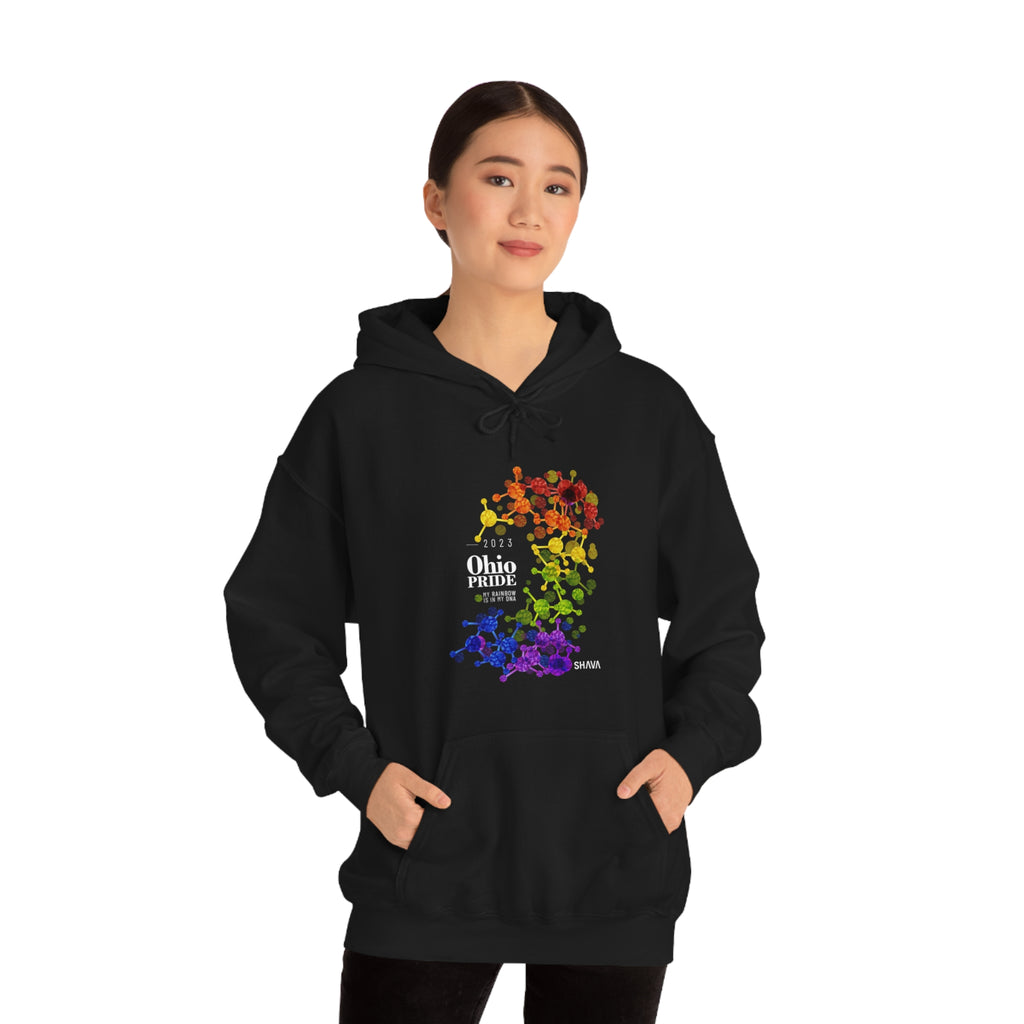 SHAVA CO Rainbow Flag 2023 Pride, Ohio Unisex Heavy Blend™ Hooded Sweatshirt - My Rainbow Is In My DNA Printify