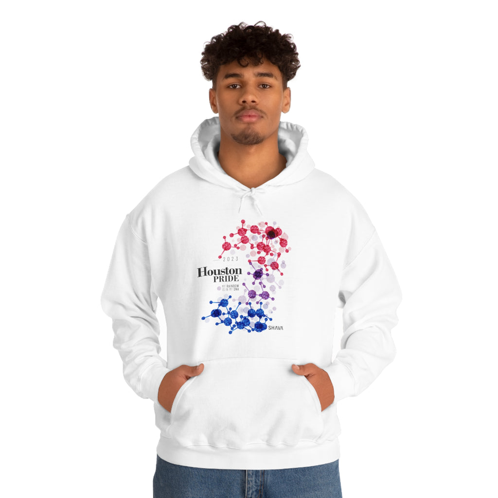 SHAVA CO Bisexual Flag 2023 Pride, Houston Unisex Heavy Blend™ Hooded Sweatshirt - My Rainbow Is In My DNA Printify