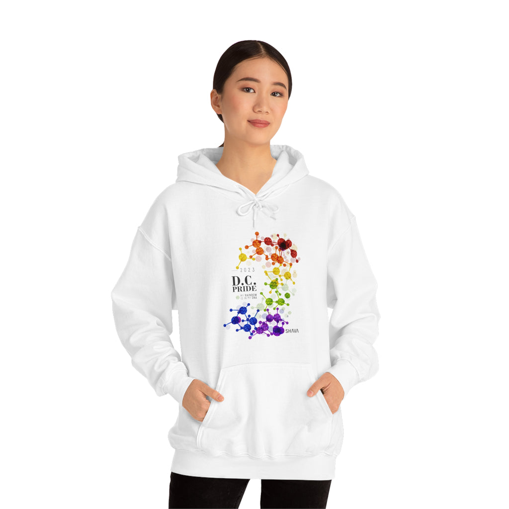 SHAVA CO Rainbow Flag 2023 Pride, Washington D.C Unisex Heavy Blend™ Hooded Sweatshirt - My Rainbow Is In My DNA Printify