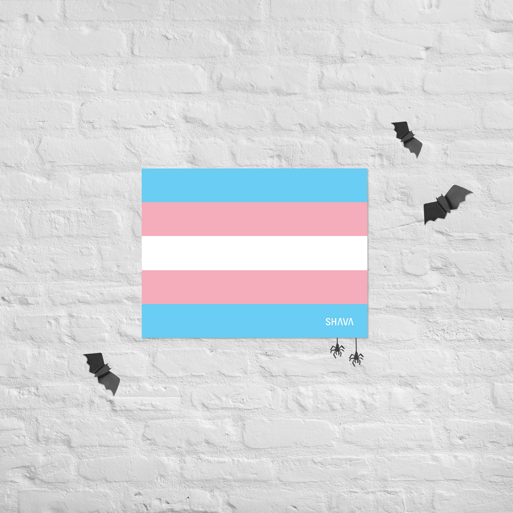 Transgender Flag LGBTQ Poster SHAVA