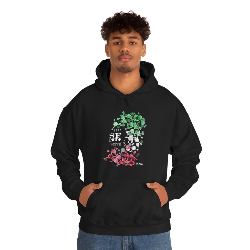 SHAVA CO Abrosexual Flag 2023 Pride, San Francisco Unisex Heavy Blend™ Hooded Sweatshirt - My Rainbow Is In My DNA Printify